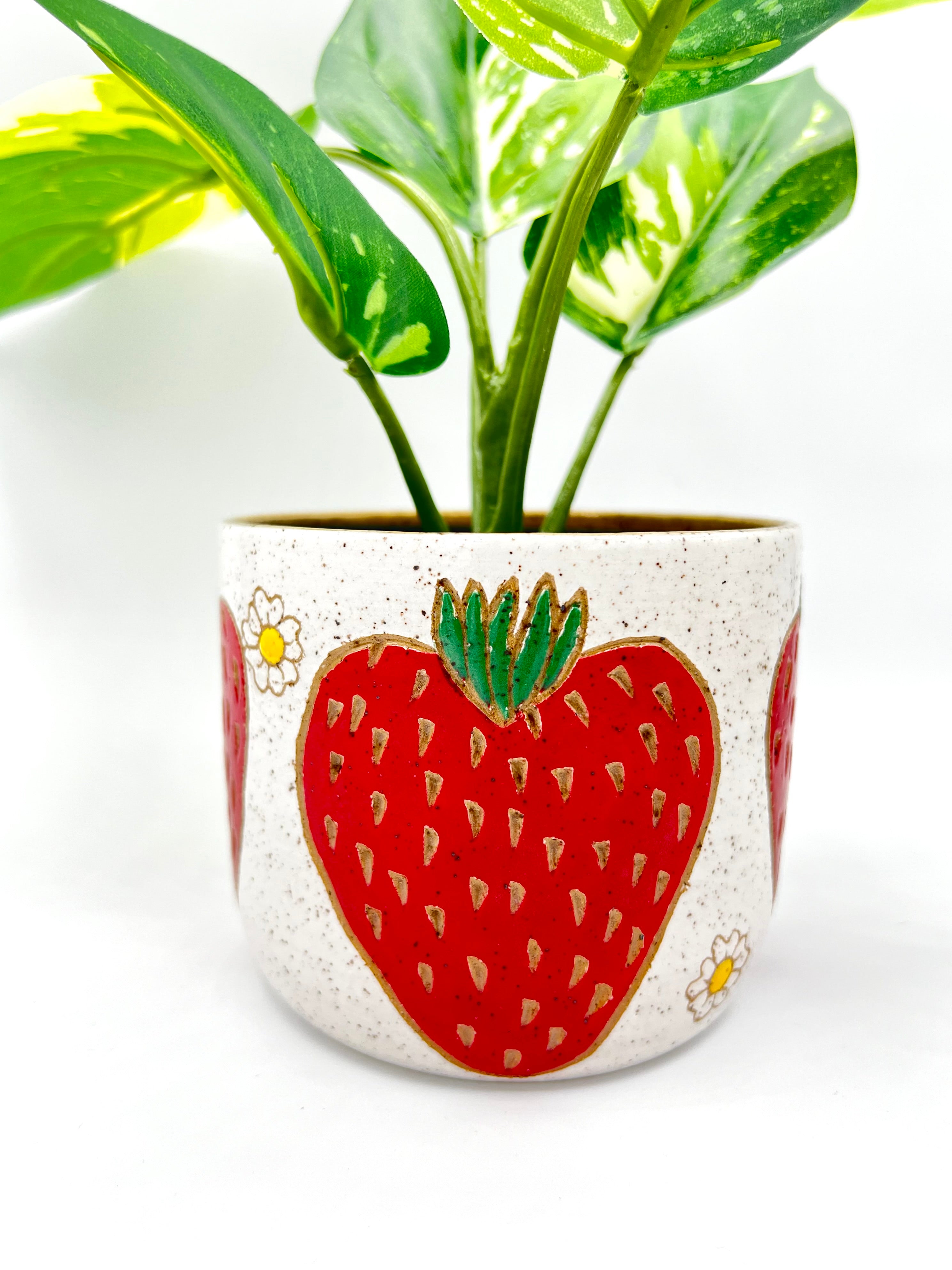 Strawberry Round Planter